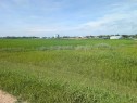 . 23-4 Range, Trochu, AB 