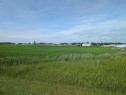 . 23-4 Range, Trochu, AB 