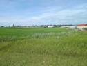. 23-4 Range, Trochu, AB 