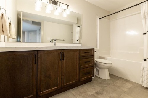 22 Napoleon Meadows Way, Innisfail, AB - Indoor Photo Showing Bathroom