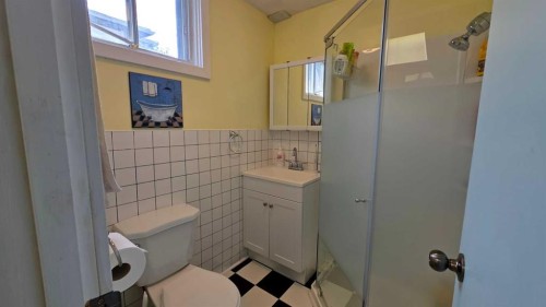 5105 Windsor Avenue, Coronation, AB - Indoor Photo Showing Bathroom