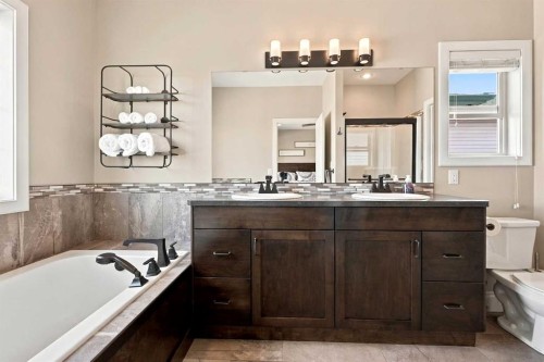 73 Maclean Close, Blackfalds, AB - Indoor Photo Showing Bathroom