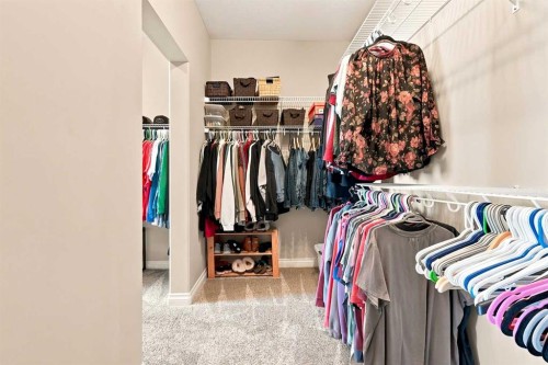 73 Maclean Close, Blackfalds, AB - Indoor With Storage