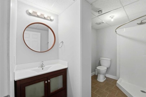 422045 Range Road 10, Rural Ponoka County, AB - Indoor Photo Showing Bathroom