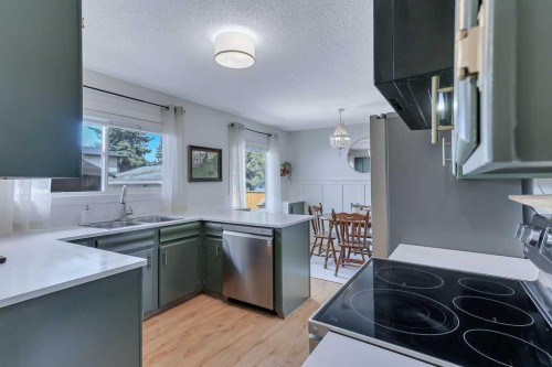 4 Anders Street, Red Deer, AB - Indoor Photo Showing Kitchen With Double Sink