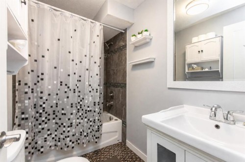 6308 61 Avenue, Red Deer, AB - Indoor Photo Showing Bathroom