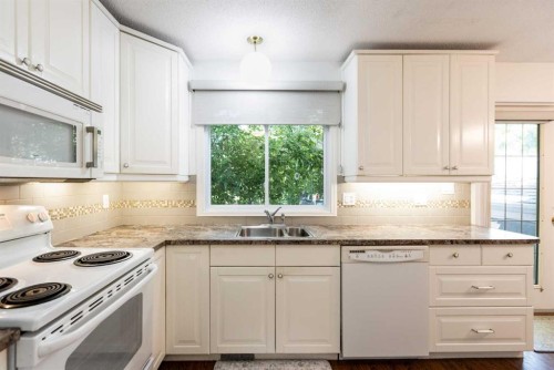 4003 53 Avenue, Innisfail, AB - Indoor Photo Showing Kitchen With Double Sink