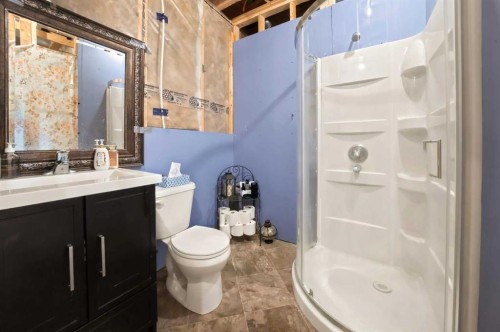 133 Portway Close, Blackfalds, AB - Indoor Photo Showing Bathroom