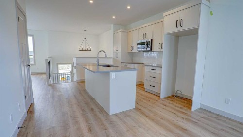 19 Ian Way, Sylvan Lake, AB - Indoor Photo Showing Kitchen With Upgraded Kitchen