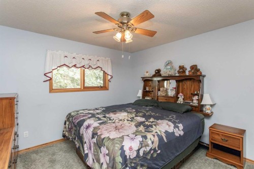 153 Westview Crescent, Blackfalds, AB - Indoor Photo Showing Bedroom