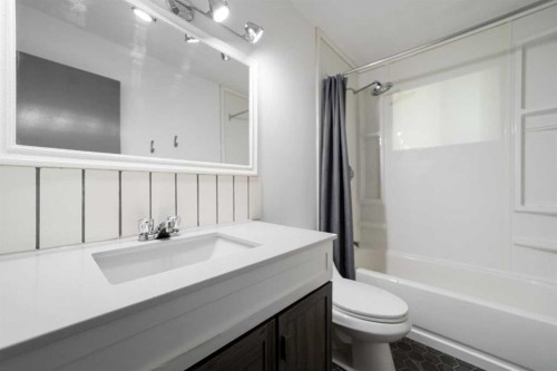 4814 49 Avenue, Forestburg, AB - Indoor Photo Showing Bathroom
