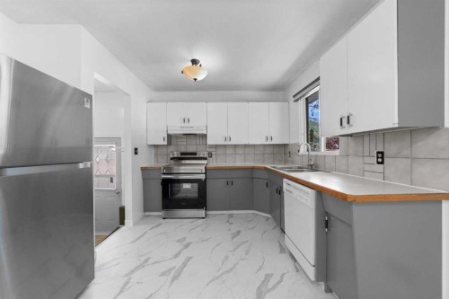 4814 49 Avenue, Forestburg, AB - Indoor Photo Showing Kitchen