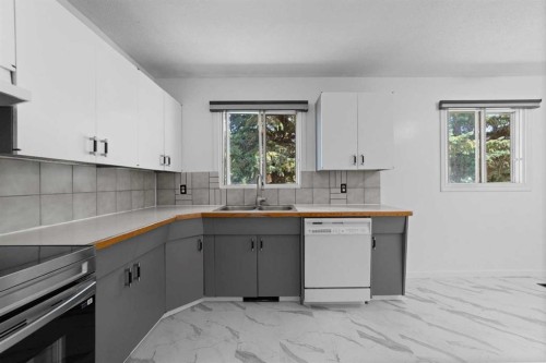 4814 49 Avenue, Forestburg, AB - Indoor Photo Showing Kitchen With Double Sink