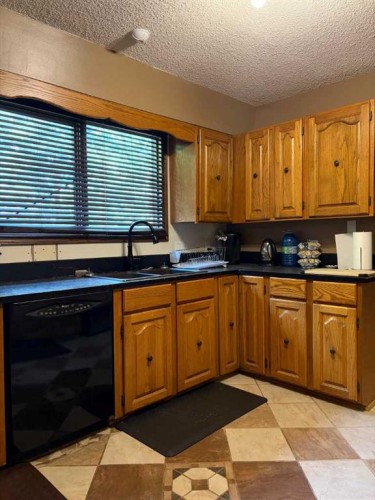 5216 47 Street, Consort, AB - Indoor Photo Showing Kitchen