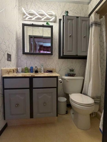 5216 47 Street, Consort, AB - Indoor Photo Showing Bathroom