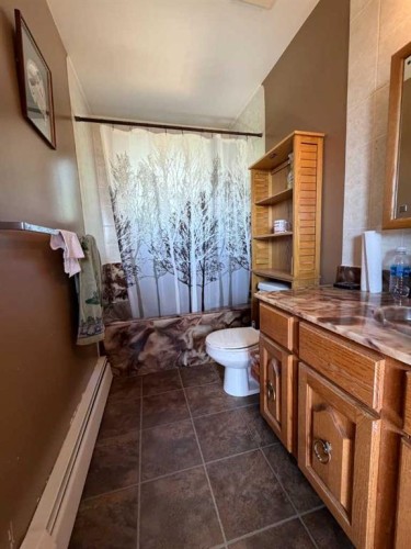5216 47 Street, Consort, AB - Indoor Photo Showing Bathroom