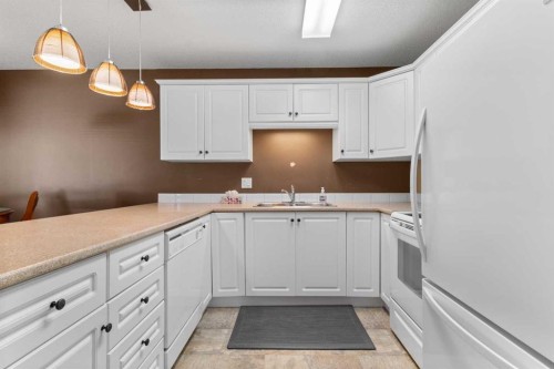 38-2821 Botterill Crescent, Red Deer, AB - Indoor Photo Showing Kitchen With Double Sink