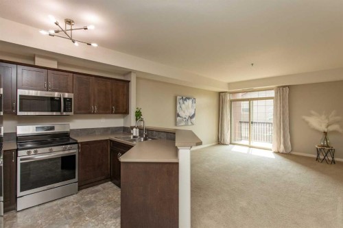 207-69 Ironstone Drive, Red Deer, AB - Indoor Photo Showing Kitchen With Double Sink