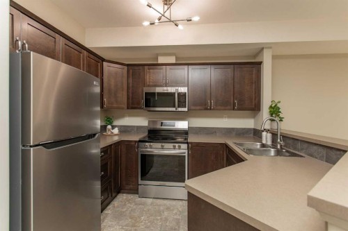 207-69 Ironstone Drive, Red Deer, AB - Indoor Photo Showing Kitchen With Double Sink