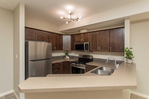 207-69 Ironstone Drive, Red Deer, AB - Indoor Photo Showing Kitchen With Double Sink