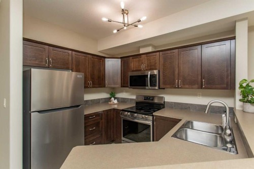 207-69 Ironstone Drive, Red Deer, AB - Indoor Photo Showing Kitchen With Double Sink