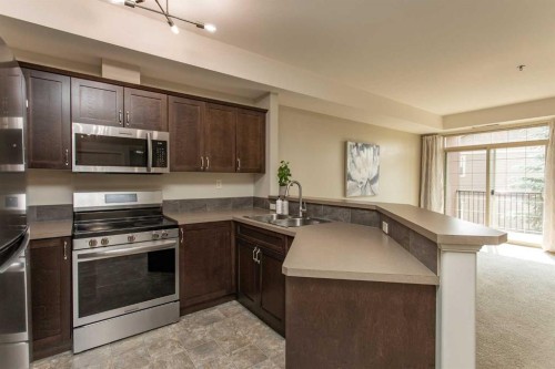 207-69 Ironstone Drive, Red Deer, AB - Indoor Photo Showing Kitchen With Double Sink