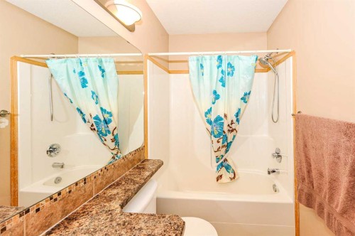 7310 46 Avenue, Camrose, AB - Indoor Photo Showing Bathroom