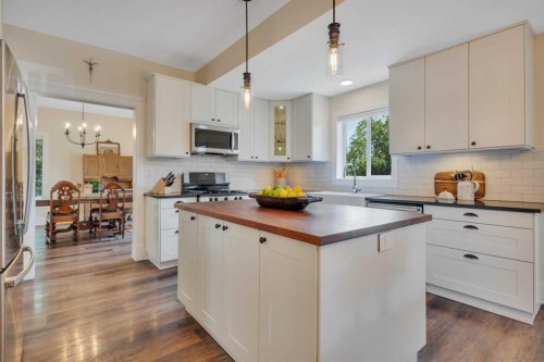 4815 49 Street, Clive, AB - Indoor Photo Showing Kitchen