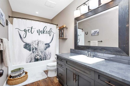 36035 Range Road 262, Rural Red Deer County, AB - Indoor Photo Showing Bathroom