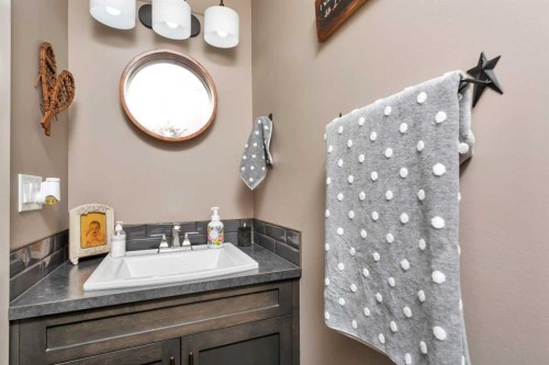 36035 Range Road 262, Rural Red Deer County, AB - Indoor Photo Showing Bathroom