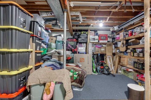 50 Grant Street, Red Deer, AB - Indoor Photo Showing Basement