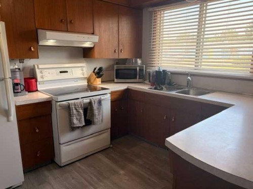 5316 53 Avenue, Bashaw, AB - Indoor Photo Showing Kitchen With Double Sink