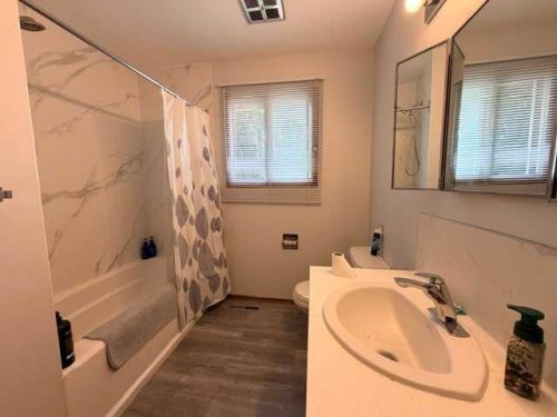 5316 53 Avenue, Bashaw, AB - Indoor Photo Showing Bathroom