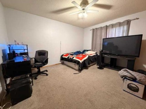 5316 53 Avenue, Bashaw, AB - Indoor Photo Showing Bedroom