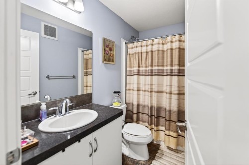 318 Teasdale Drive, Red Deer, AB - Indoor Photo Showing Bathroom