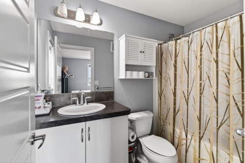 318 Teasdale Drive, Red Deer, AB - Indoor Photo Showing Bathroom