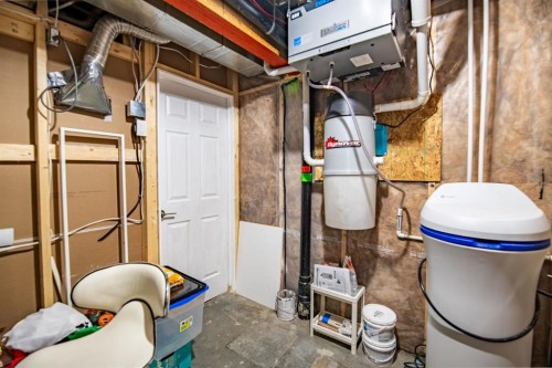 318 Teasdale Drive, Red Deer, AB - Indoor Photo Showing Basement
