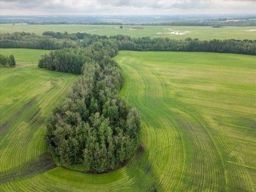 Pt Ne-16-50- 1-W5, Thorsby, AB 