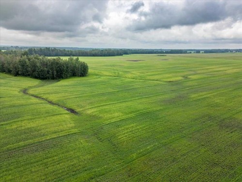 Pt Ne-16-50- 1-W5, Thorsby, AB 