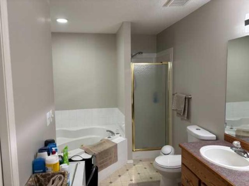58 Logan Close, Red Deer, AB - Indoor Photo Showing Bathroom