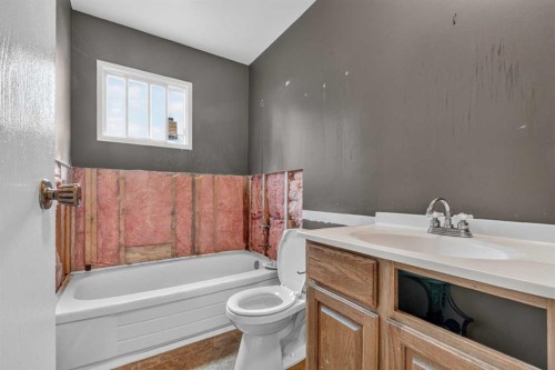 5306 51 Ave, Daysland, AB - Indoor Photo Showing Bathroom