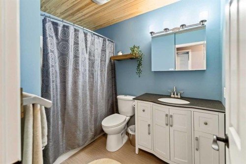 12 Opal Close, Lacombe, AB - Indoor Photo Showing Bathroom