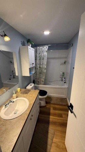 275 7 Street Se, Three Hills, AB - Indoor Photo Showing Bathroom