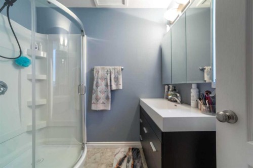 318 Main Street, Ferintosh, AB - Indoor Photo Showing Bathroom