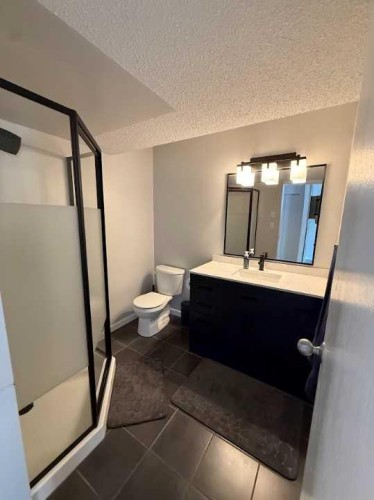 165 Hansen Drive, Hinton, AB - Indoor Photo Showing Bathroom
