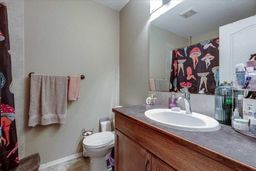 13 Rogers Road, Sylvan Lake, AB - Indoor Photo Showing Bathroom