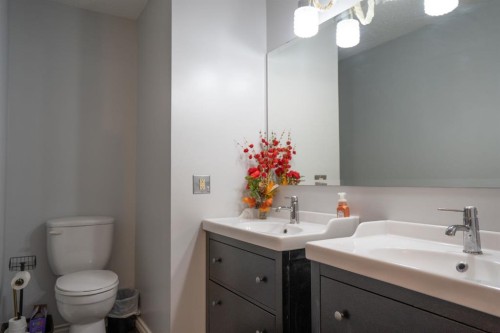 22 Robinson Place, Bashaw, AB - Indoor Photo Showing Bathroom