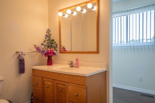 22 Robinson Place, Bashaw, AB - Indoor Photo Showing Bathroom