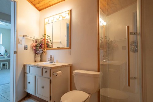 22 Robinson Place, Bashaw, AB - Indoor Photo Showing Bathroom