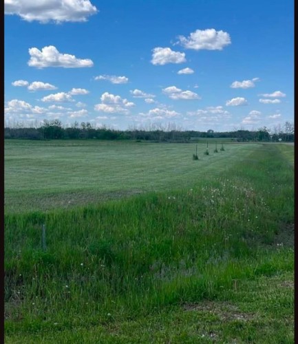 On Strom Street, Heisler, AB 
